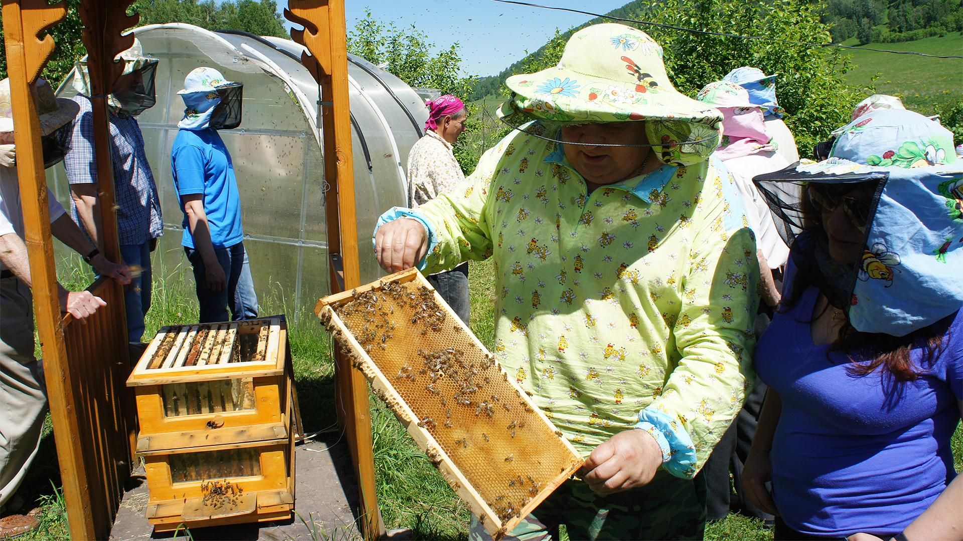 Алтай+Бурятия, фестиваль «Голос кочевников»